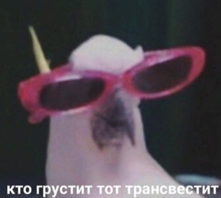 Кто грустит тот трансвестит - мем с попугаем в очках