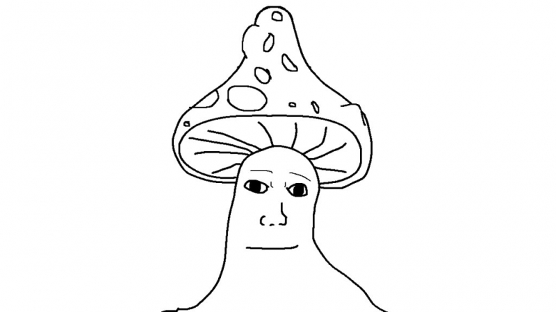 Шрумджек (Shroomjak) - что за мем с человеком в виде гриба
