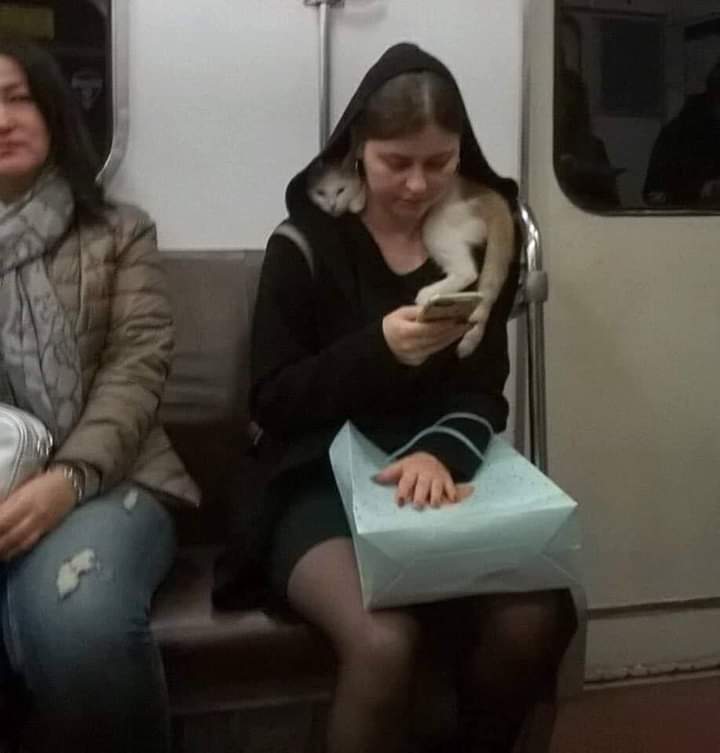 17 случаев, когда люди встречали в метро весьма неординарных и странных пассажиров