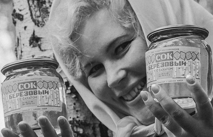 Березовый сок в СССР: каким он был на самом деле