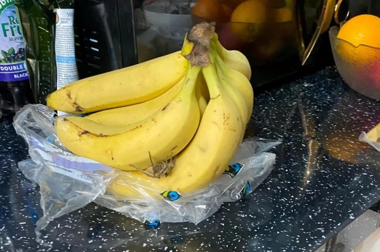 Мужчина купил в магазине бананы и его чуть не парализовало, а во всем виноват «гость» в пакете