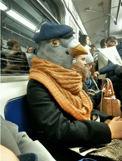 15 случаев, когда людям доводилось встретить в метро весьма необычных попутчиков