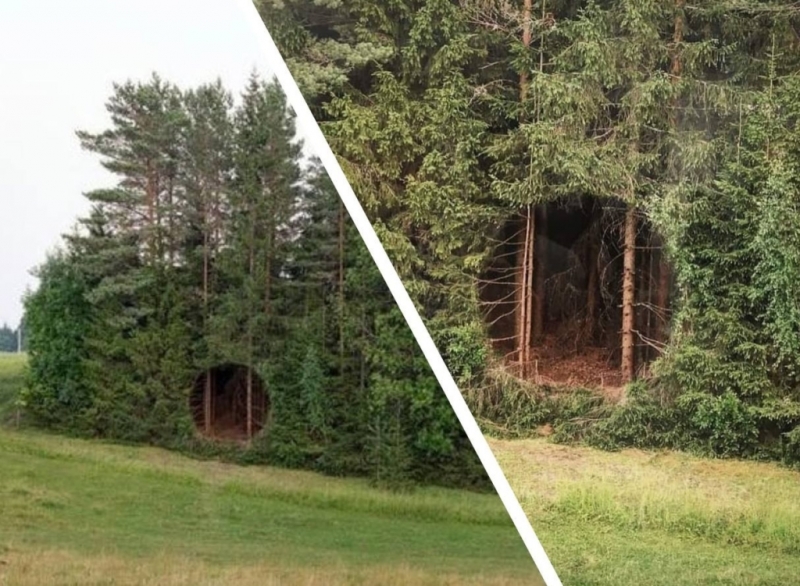 Местные жители нашли загадочную дыру в лесу и долго не могли понять откуда взялся этот «вход» в другой мир