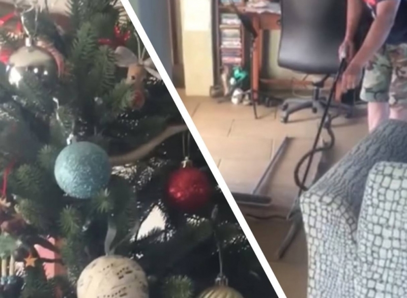 «Новогодняя игрушка» на елке чуть не погубила всю семью из южной Африки