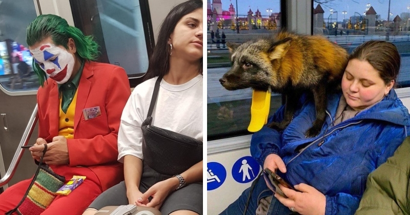 15 забавных фотографий, которые доказывают, что в метро можно встретить что угодно и кого угодно