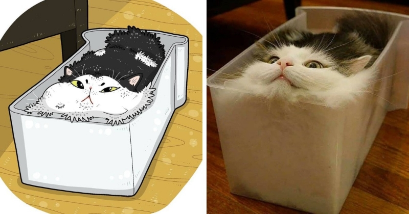 16 забавных рисунков от художника из Индонезии, который даёт мемам с котами новую жизнь, делая их ещё смешнее