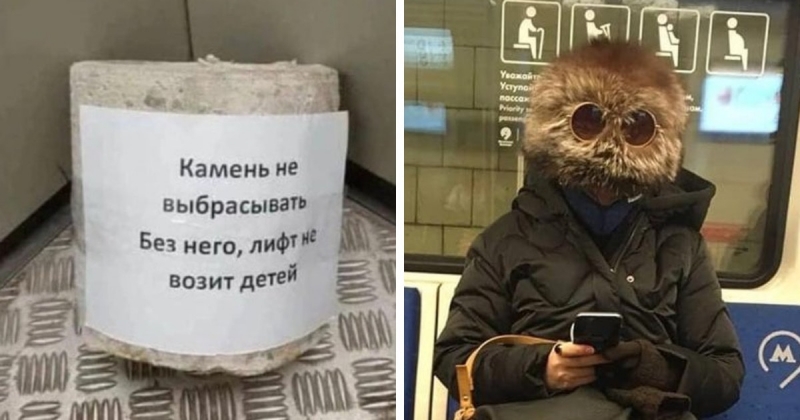 15 фотографий, которые как нельзя лучше показывают, что такое обычный день в России