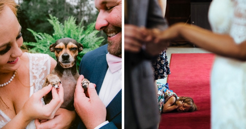20 внезапно забавных моментов со свадеб, которые были мастерски запечатлены фотографами торжества