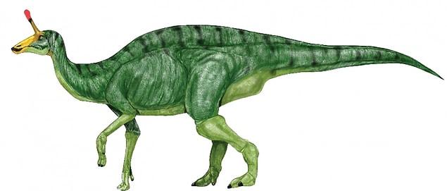 Смешные и необычные динозавры: 10 лучших