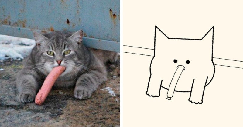 18 рисунков латвийского художника, который переделывает реальные фото котиков в смешные схематичные шедевры